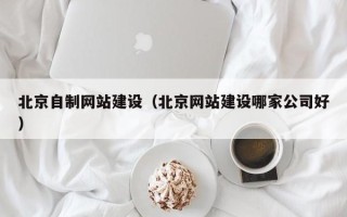 盐城北京自制网站建设（北京网站建设哪家公司好）
