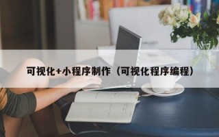 盐城可视化+小程序制作（可视化程序编程）